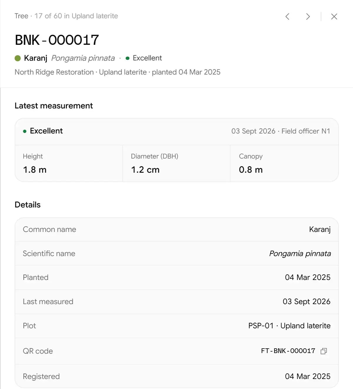 The record of tree BNK-000017, a Karanj: latest measurement, species, planting date, plot and QR code.